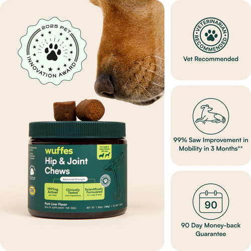 Hip & Joint Chews