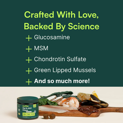 Hip & Joint Chews